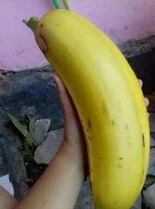 大香蕉亚洲国产